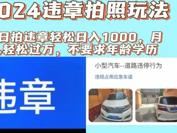 最新违章拍照+推广躺赚双模式玩法日入1000+