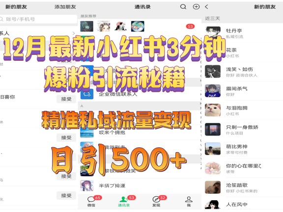 12月最新小红书3分钟爆粉引流秘籍，精准私域流量变现 日引500+